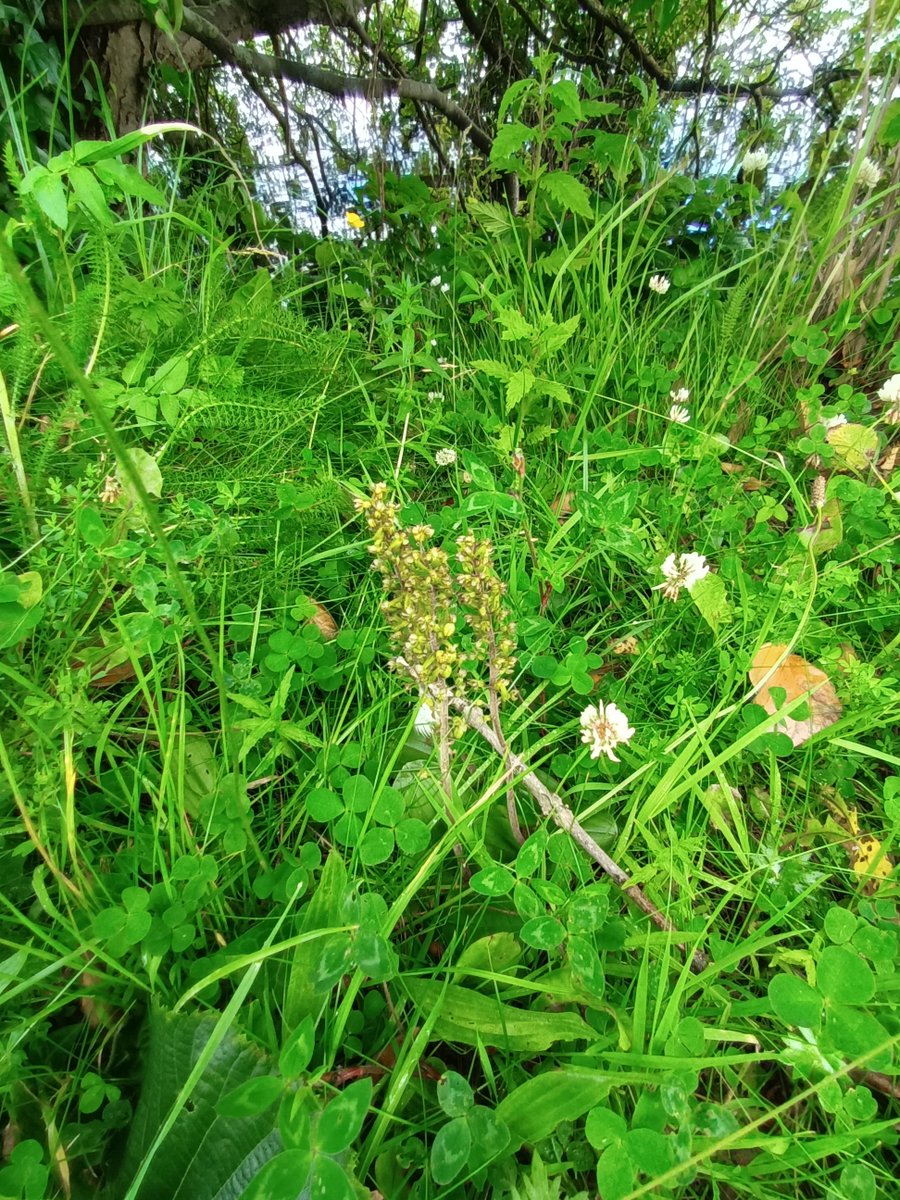 Caitriona Carlin tweet media