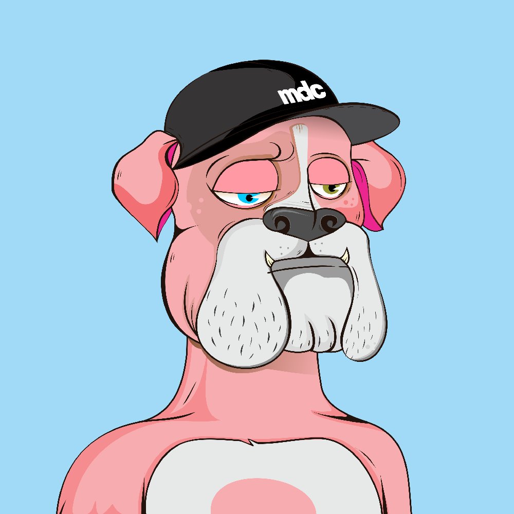 meekdogclub's tweet photo. Roff, on wednesdays we wear pink! 😎🫰🏼

#MDC #NFT #NFTCommunity https://t.co/KM8io2yAIj