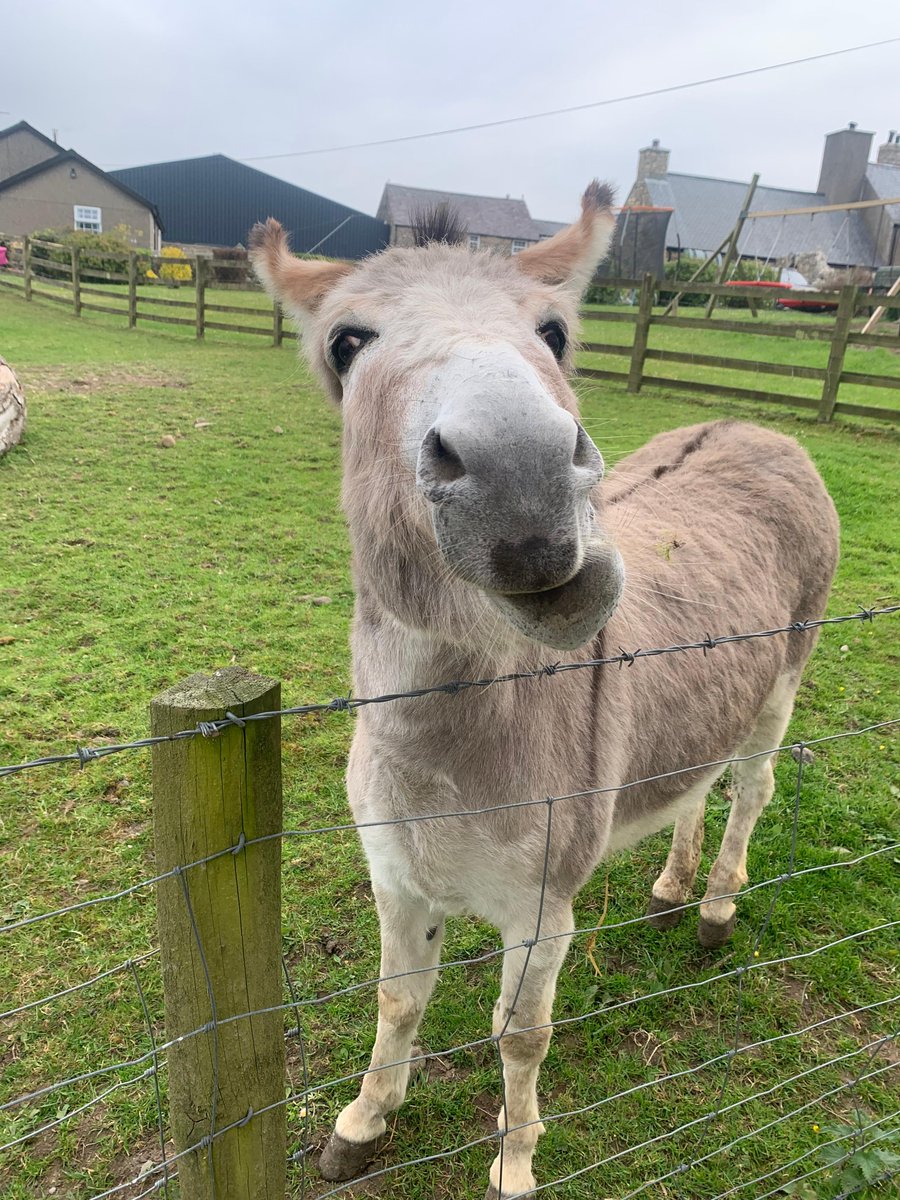 When you hear someone mention the idea of a Haulfryn holiday🤪

Fill your summer with fun and memories:  haulfrynholidays.co.uk