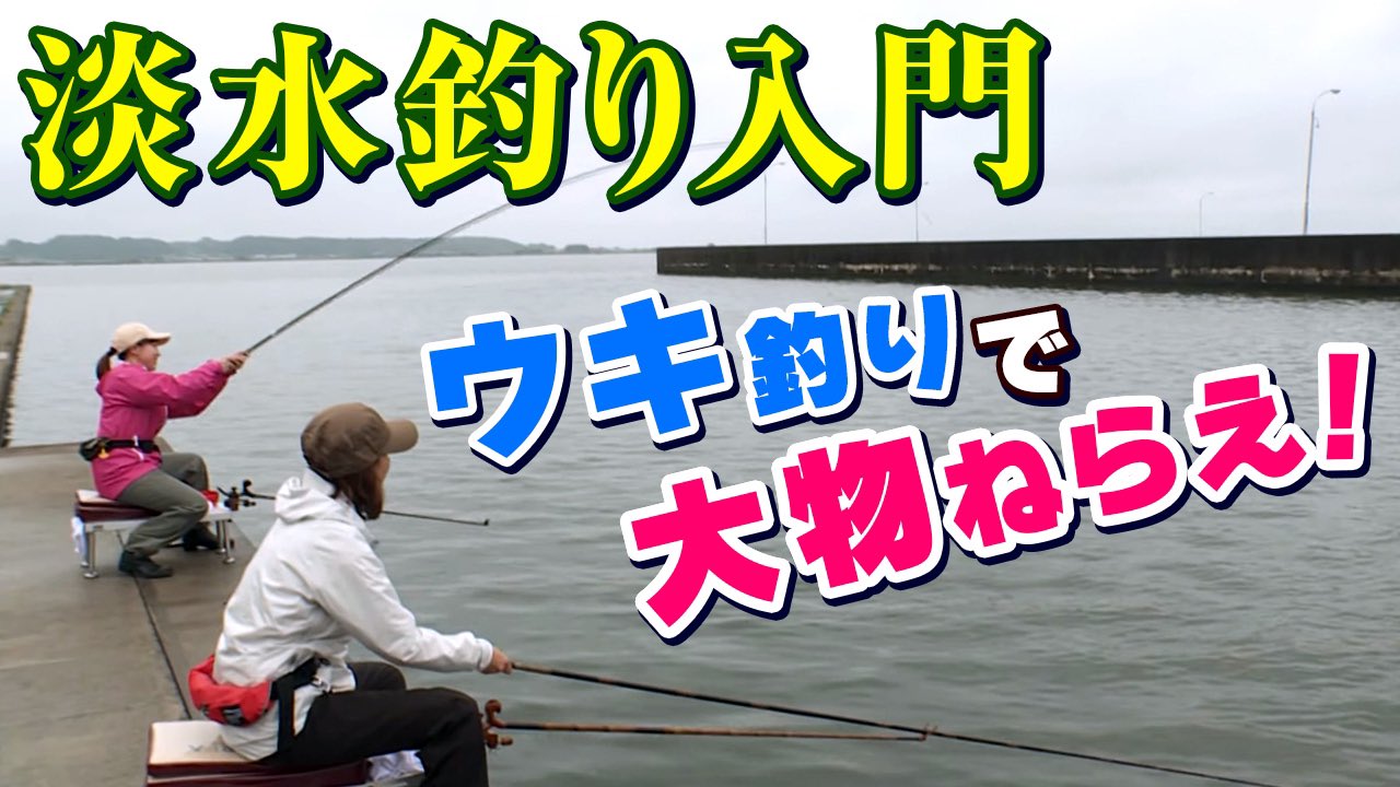 公式 Go Go 九ちゃんフィッシング 9chan Fishing Twitter