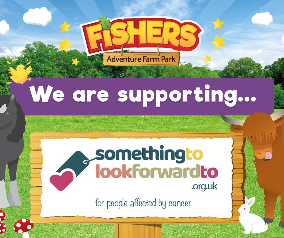 Something To Look Forward To tweet media