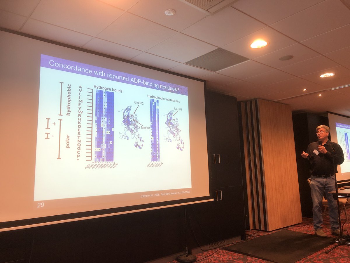 clare__turnbull's tweet photo. @FPRoth takes mixed audience of technology-scientists, computational biologists and clinicians at Leiden #HBOCVUSmeeting through ups and downs of development of variant maps for HBOC genes such as CHEK2. Solving the VUSs...
#VariantEffect22 @varianteffects https://t.co/oHqv8NX1Ez