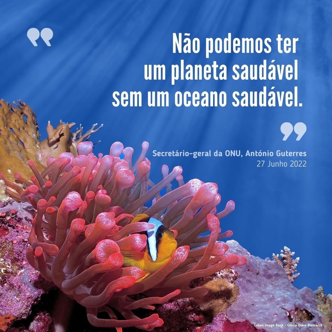'Não podemos ter um planeta saudável sem um oceano saudável.'

Na segunda-feira (27), o secretário-geral das @nacoesunidas, @antonioguterres, abriu a Conferência dos Oceanos das Nações Unidas, em #Portugal com um apelo para uma #AçãoClimática para #SalvarOsOceanos e o futuro: 👇
