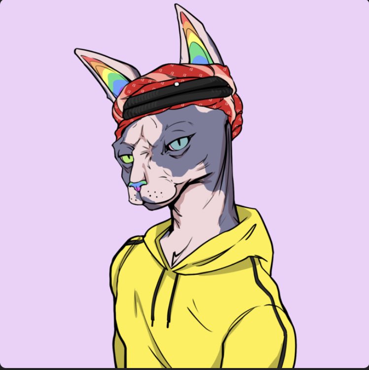In love with my new buy from @TheSphynxUS