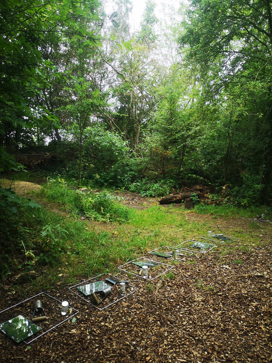 Amy Lemon tweet media