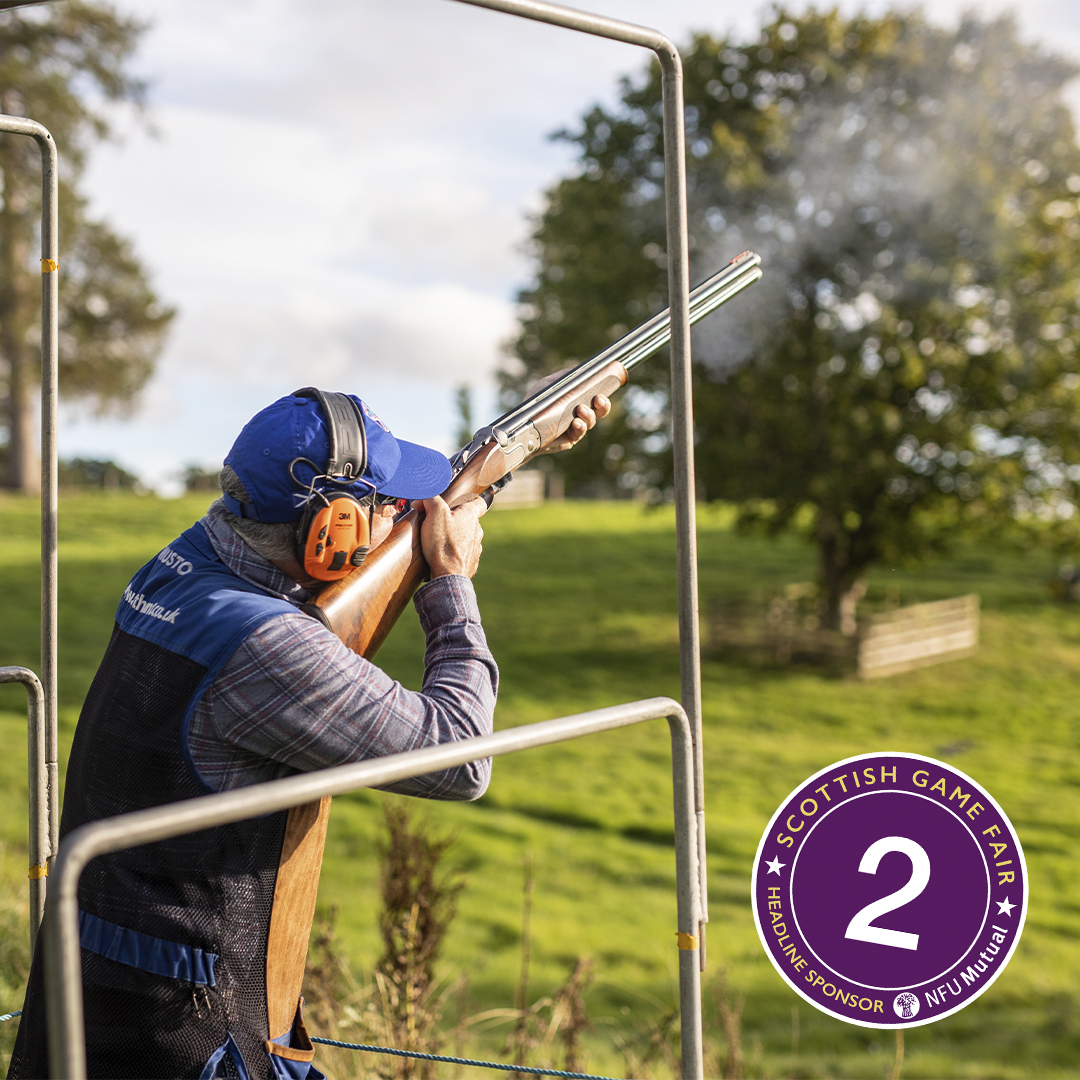 ONLY 2️⃣ DAYS TO GO!

There’s a packed country pursuits programme at the GWCT Scottish Game Fair from fishing to shooting, archery to falconry. There’s something for everyone!

Last chance to save money on advance tickets, book today - bit.ly/GWCT-SGF

#ScottishGameFair