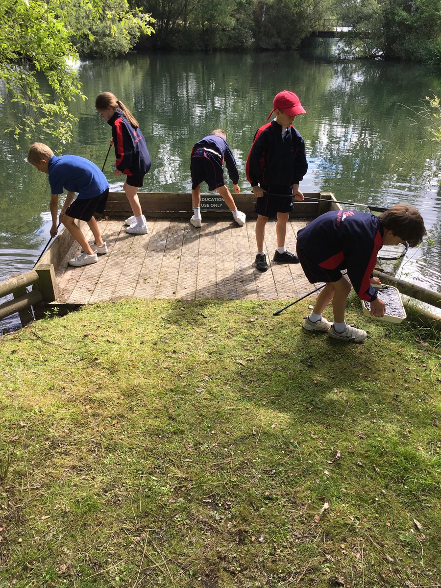 YMS_Year4's tweet photo. ⁦@YMS_Year3⁩ Pond dipping at ⁦@WellingtonCPrk⁩ 
#collaboration #miniexplorers https://t.co/uKhPjuDuTN