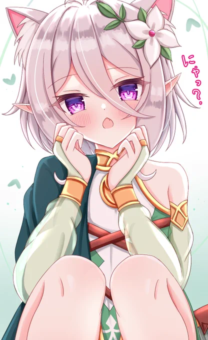 猫猫コッコロちゃん🌟
#プリコネR 