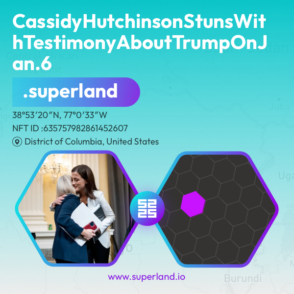 SuperLand tweet media