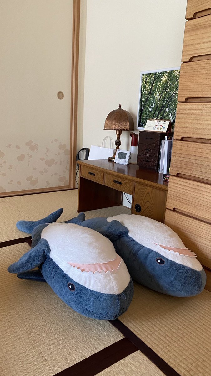 samekichi_maru's tweet photo. 暑くて畳に打ち上げられたさめたち。

#IKEA 
#IKEAのサメ
#IKEAshark 
#BLAHAJ https://t.co/fVmTg71xDH