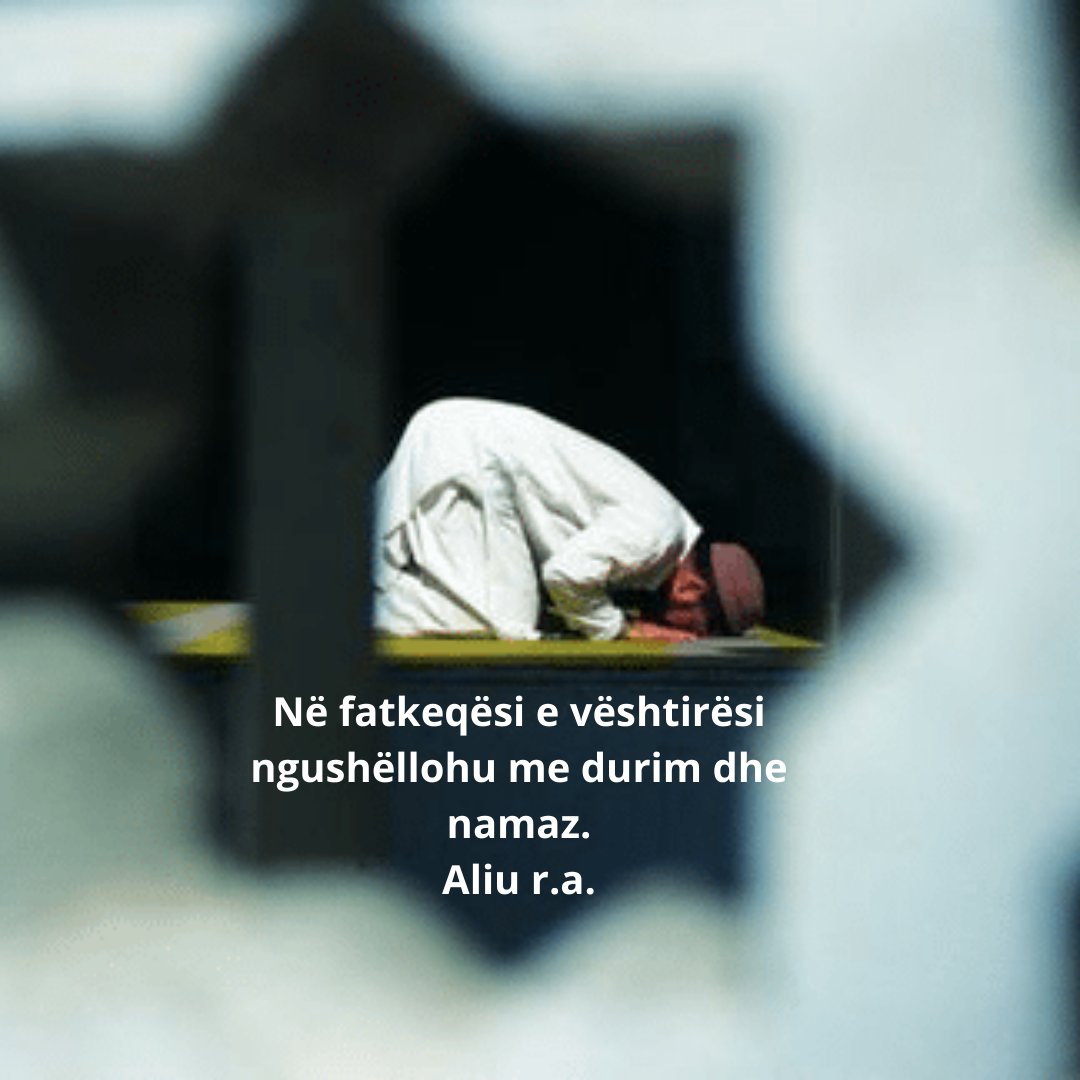 SedatIslami1981's tweet photo. Në #fatkeqësi e vështirësi ngushëllohu me #durim dhe #namaz. Aliu r.a. https://t.co/OznmXqGSQ9