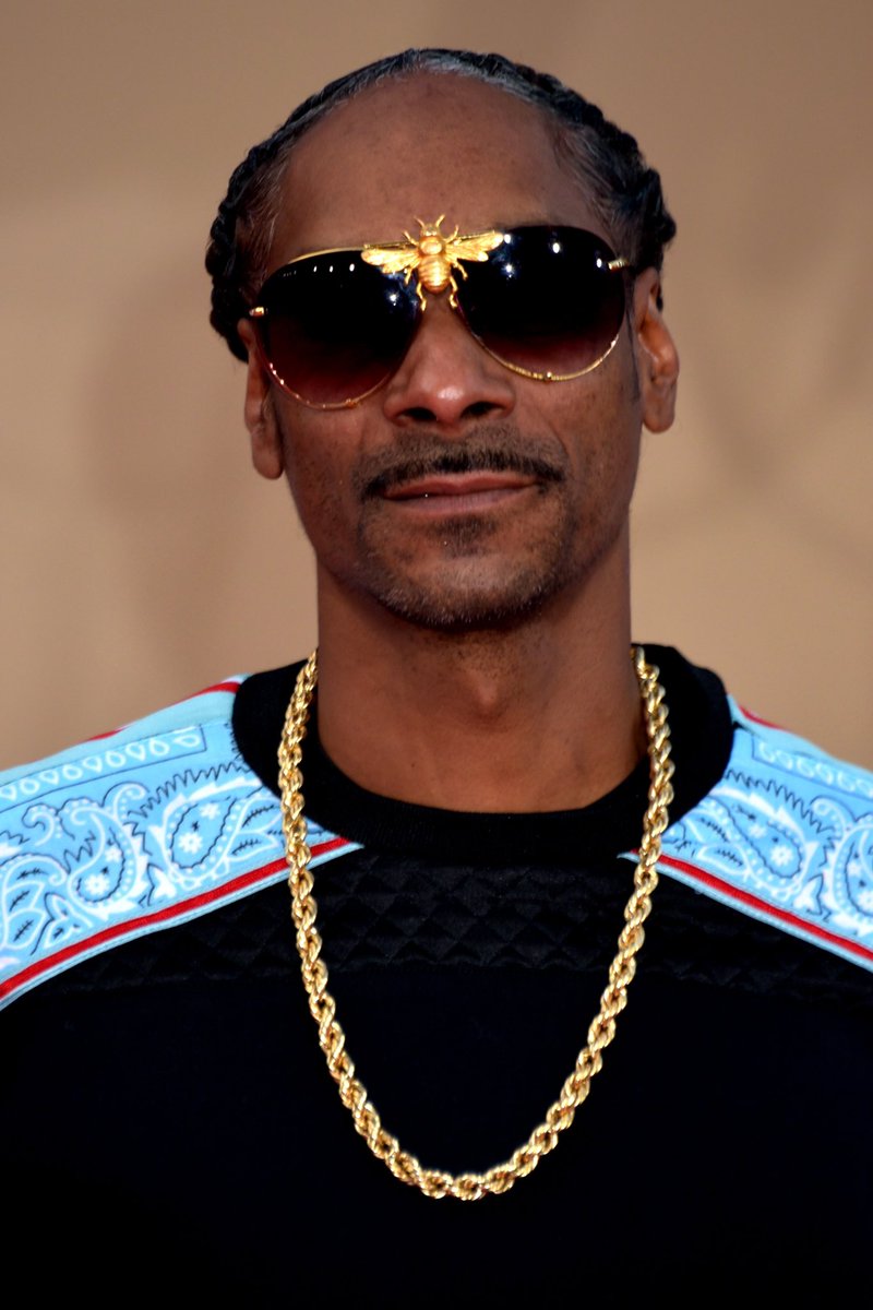 altc01n's tweet photo. @SnoopDogg before getting into #NFTs &amp; after 😜

You can too 🫰

@animalconcerts @BoredApeYC 

#bhanimals #crypto #altcoins #NFT #BEASTprojects https://t.co/2CSHNTljs8