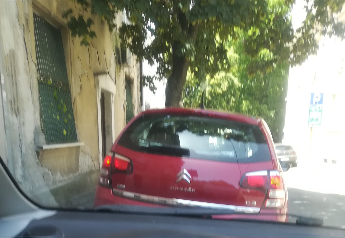 IvanRadak's tweet photo. Do drveta ima mesta za još pola automobila. Jedan auto zauzeo dva mesta. Taj nivo sebičluka koji je dostignut u našem društvu je zapanjujući https://t.co/B5KzQvfXO6
