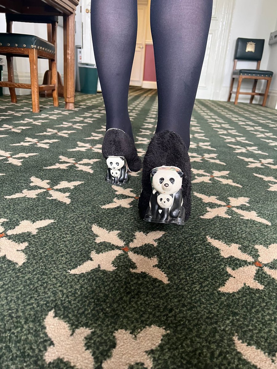 AngelaRayner's tweet photo. I know Dominic Raab is a karate black belt and everything - but I’ve got my kung fu pandas on and I’m ready! #PMQs https://t.co/V3agJggAeT
