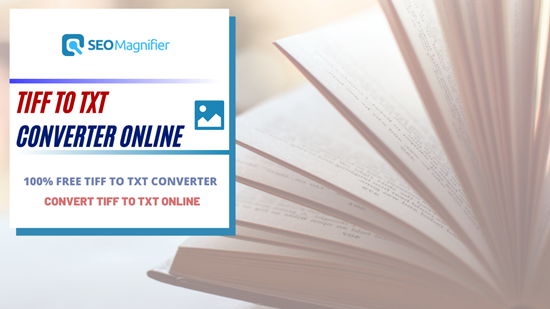 SEO Magnifier - 100% Free SEO Tools tweet media