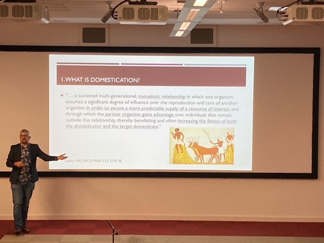 SAPS (@saps_news) on Twitter photo What is domestication and why do we eat what we eat? 🤔
Super lecture this morning by Dr Mark Chapman, Associate Professor in Ecology and Evolutionary Biology.
Here you can see the teachers engaged in a Q&A post lecture.
#GPSSS22 #summerschool #PlantSci <a href="/GatsbyPlantScEd/">Gatsby Plant Science Education Programme</a> What is domestication and why do we eat what we eat? 🤔
Super lecture this morning by Dr Mark Chapman, Associate Professor in Ecology and Evolutionary Biology.
Here you can see the teachers engaged in a Q&A post lecture.
#GPSSS22 #summerschool #PlantSci <a href="/GatsbyPlantScEd/">Gatsby Plant Science Education Programme</a>