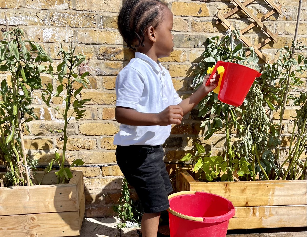 to Hill Mead Primary School