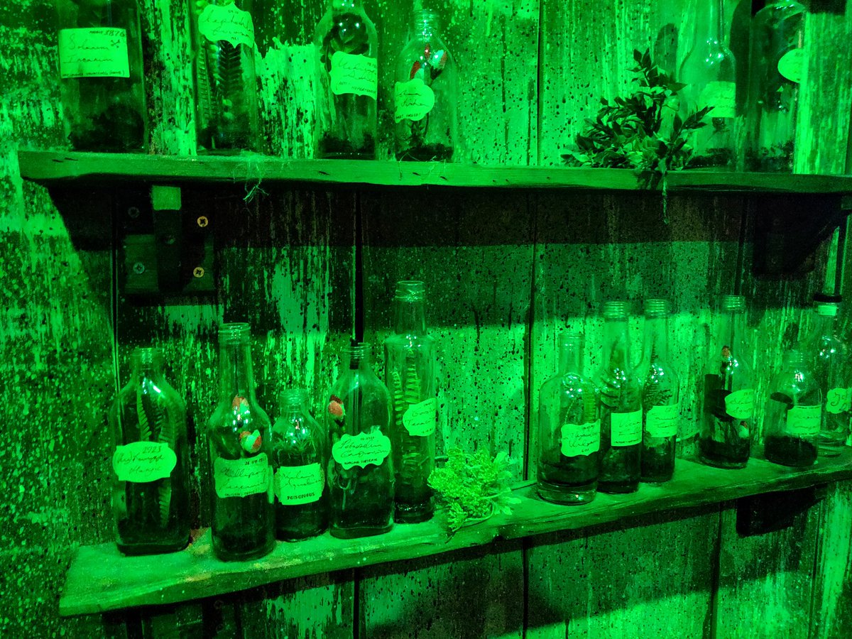 thejoysequence's tweet photo. When I went to putt some balls at The Hole in Wand, I wasn't quite ready for it to be such an immersively detailed Grobblenook's magical creatures minigolf adventure complete with gargoyle backstory and shimmering potion drinks 🤯⛳✨ https://t.co/GIGdBPPfhf