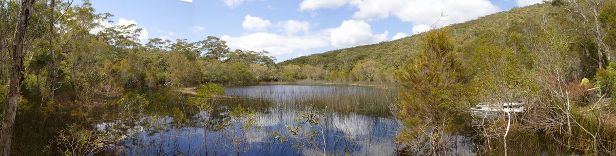 StupidistGit's tweet image. Freshwater friends around the world, I hope you are all plotting means to visit us in Brisbane next year for conference high jinks!! freshwaterdownunder2023.org