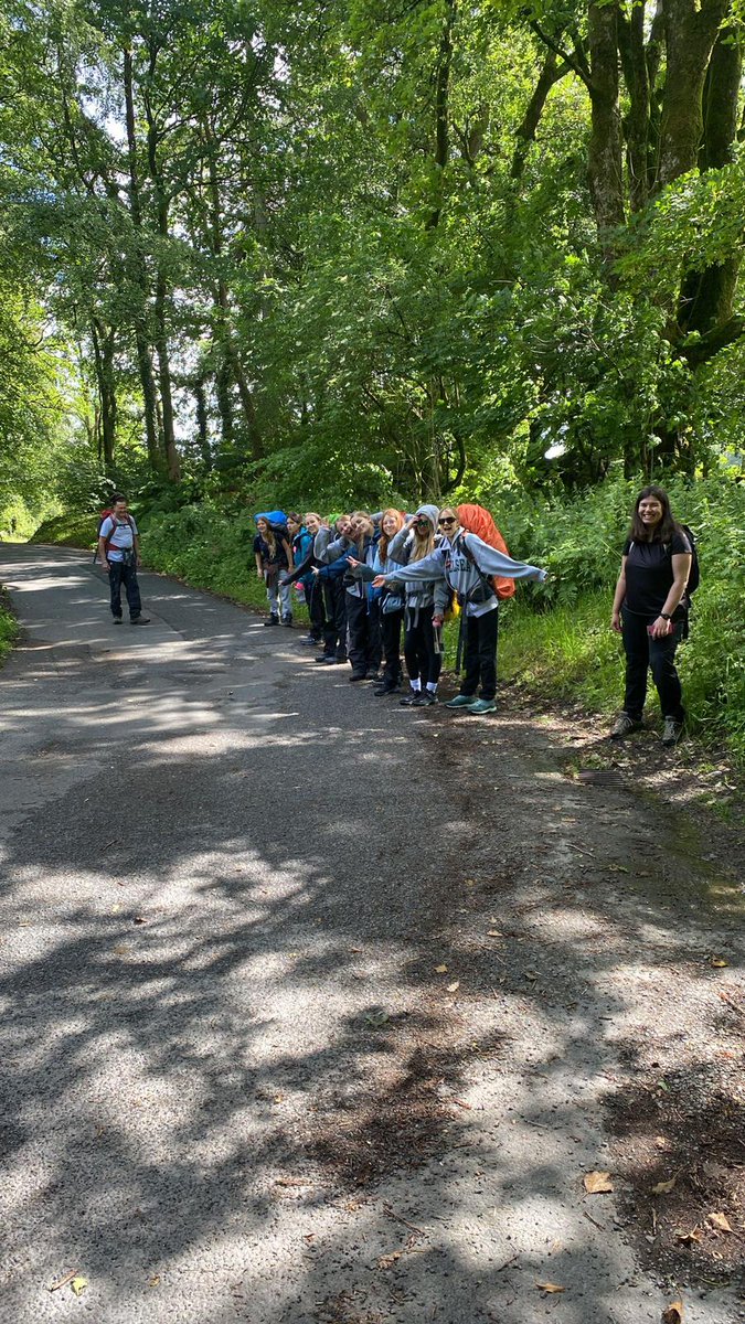 Francis Holland tweet media