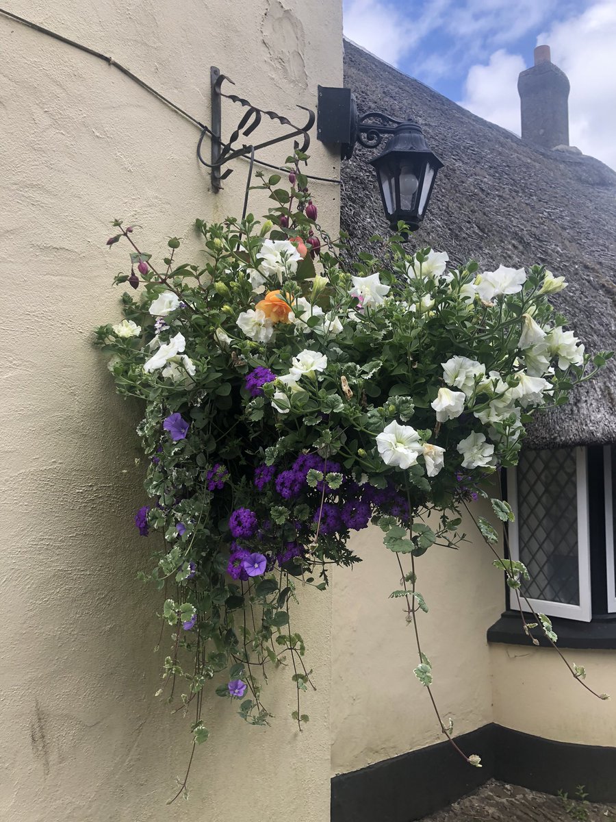 Fran Traxton tweet media