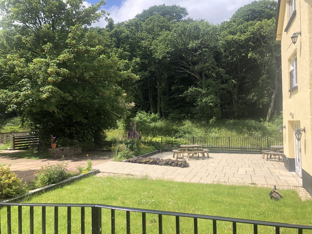 Fran Traxton tweet media