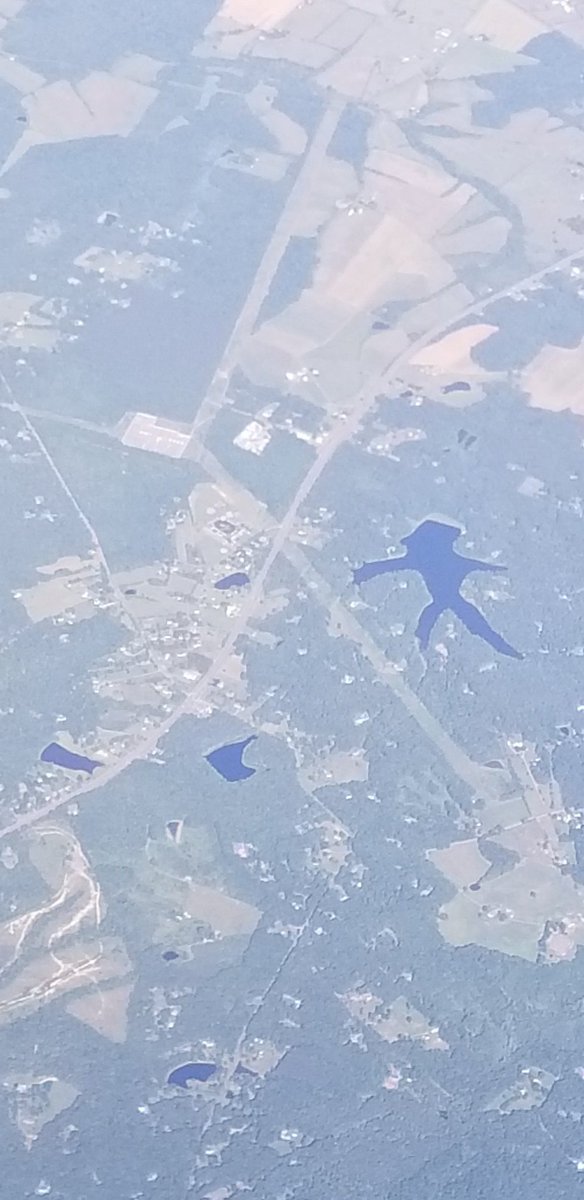SujaJoseph's tweet photo. 😍 In-flight entertainment and popcorn provided by @SouthwestAir 
(Zoom in on that streak near the tail of the plane). 
Oh, we also spotted the imprint of a giant frog that fell to the earth. Legend is..he survived.
#Southwest #BlueSkies #PopcornClouds #Entertainment https://t.co/d1PRXx7Y6N
