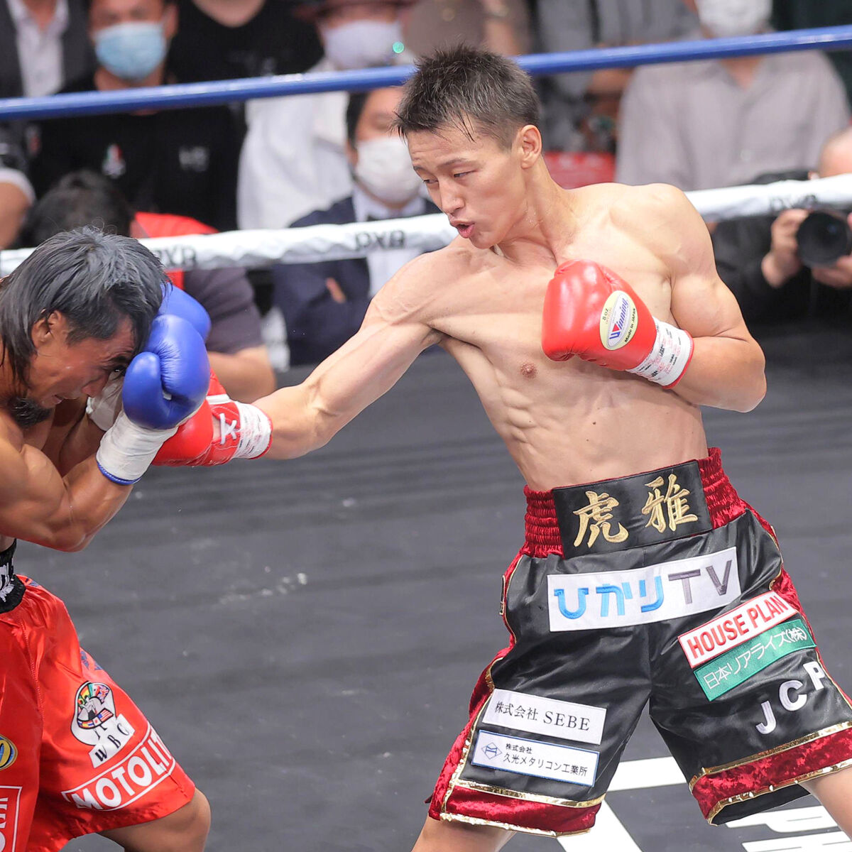 SportsHochi's tweet photo. アマ10冠・今永虎雅が2回ＫＯデビュー！ 2回に2度のダウン奪取で快勝 https://t.co/fgFXvzeRhs #スポーツ #sports #ニュース https://t.co/HpRzEym8Ar