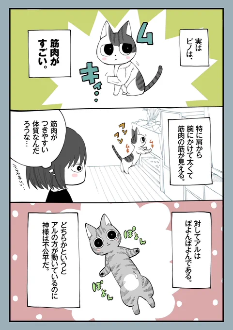 17.筋肉 