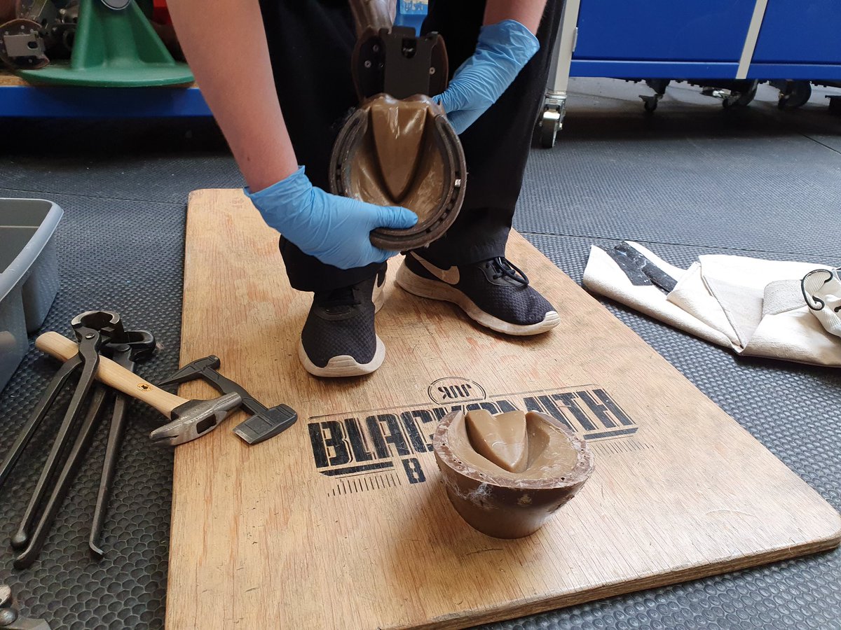 Some of the models that Year 12 students used yesterday during the Residential Veterinary Science Summer School at <a href="/SurreyVet/">SurreyVet</a>: they had lots of fun suturing wounds, shoeing horses, simulating lambing  etc