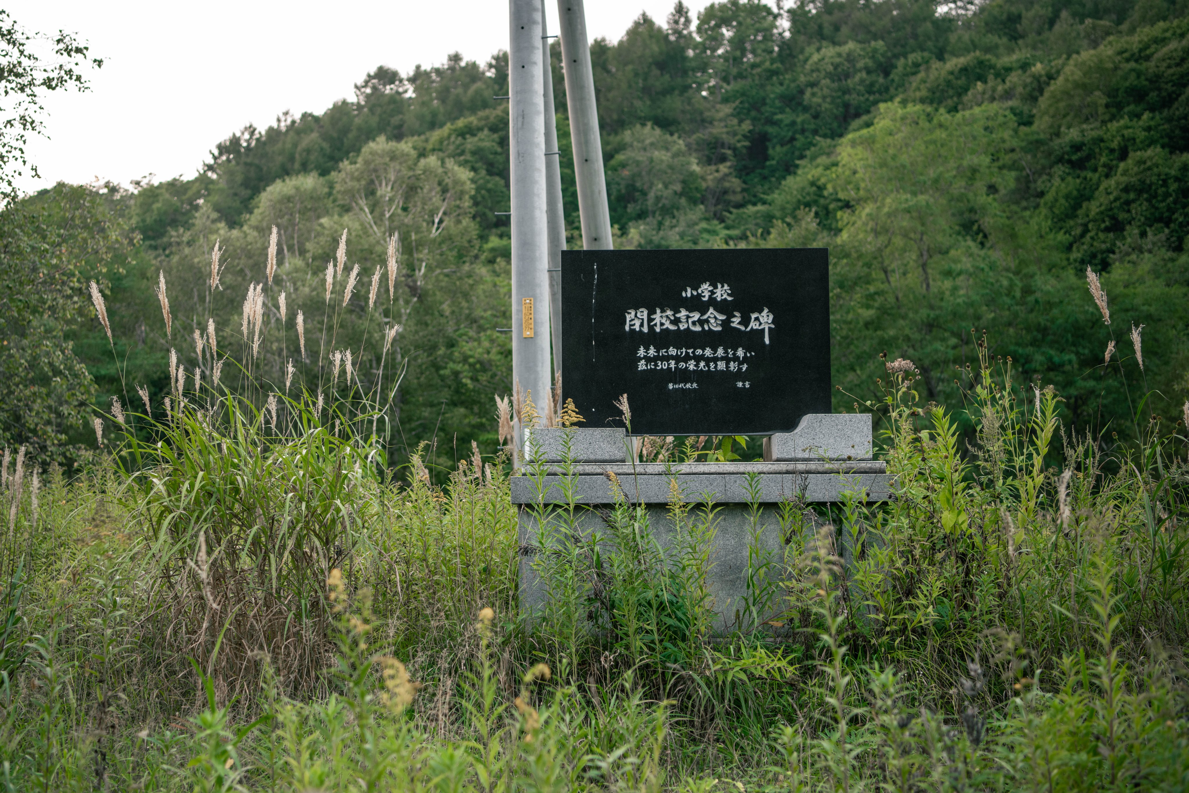 千菊丸 Senngikumaru Twitter