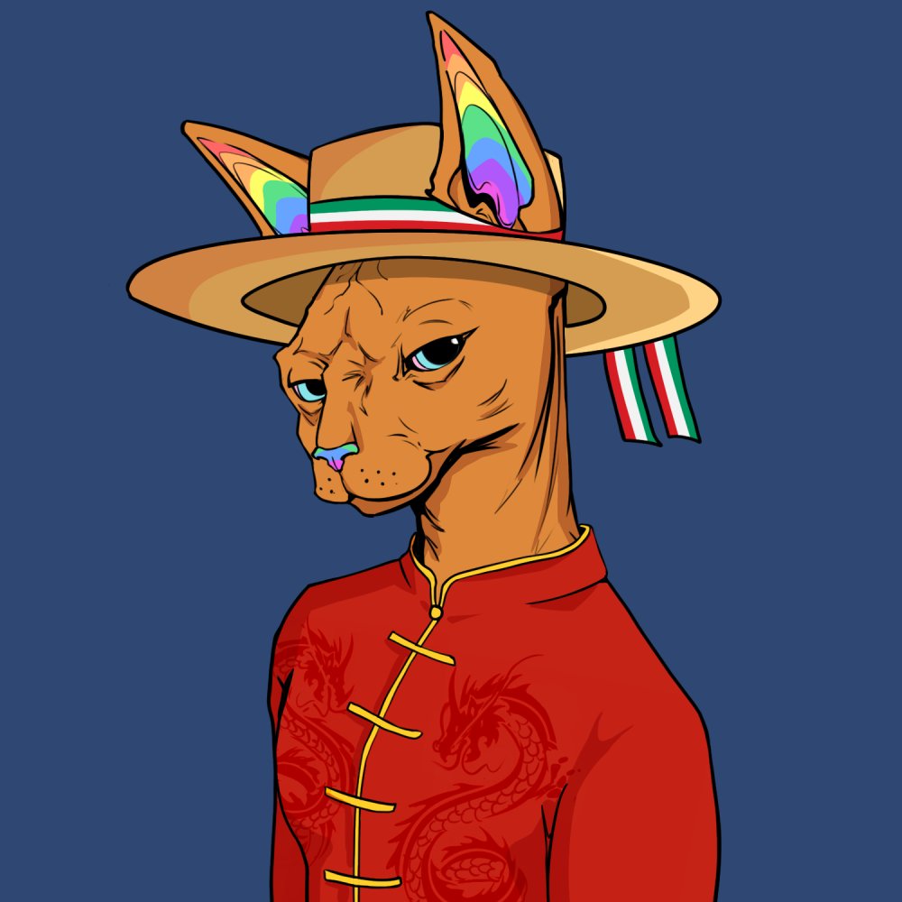 low_khe's tweet photo. @TheSphynxUS SQUAD NYAW YOUR PECS! #SphynxUndergroundSociety #SphynxFollowSphynx https://t.co/RAS0cYNCNj