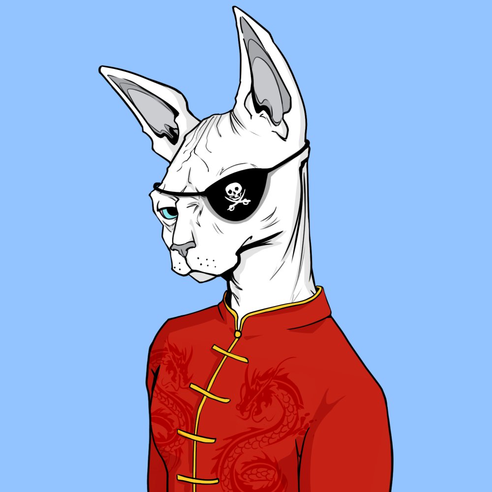 low_khe's tweet photo. @TheSphynxUS SQUAD NYAW YOUR PECS! #SphynxUndergroundSociety #SphynxFollowSphynx https://t.co/RAS0cYNCNj