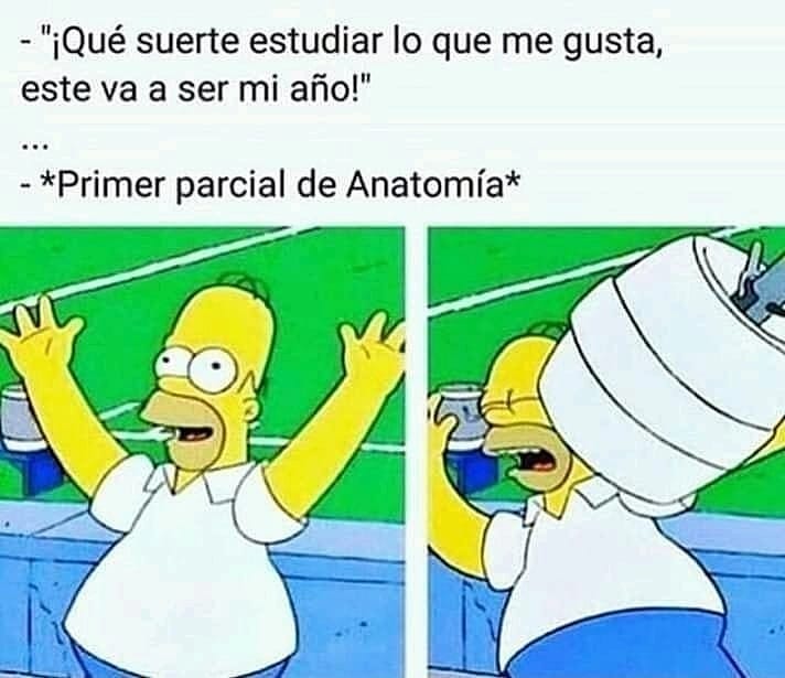 Para los nuevos estudiantes de medicina 😅