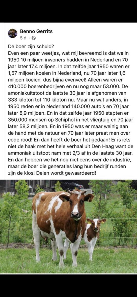 Annelies de Zeeuw, columniste tweet media