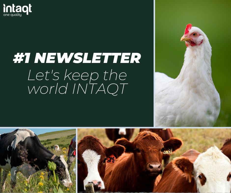H2020_INTAQT's tweet photo. 📰 The 1st #H2020INTAQT newsletter is out! In this issue you can read all about our Consortium, our #FarmNetworks and other INTAQT events.

Check-it out on our website 👉 https://t.co/9Km9R85wLX https://t.co/lX6xDoHb8k