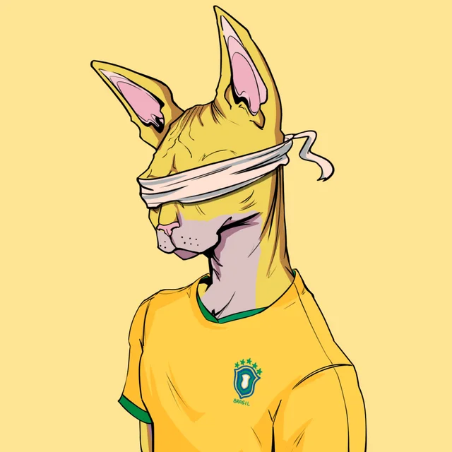 Had to pick up an explorer too, might change it to my pfp @TheSphynxUS