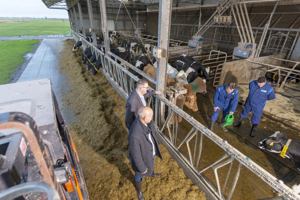NVNOM's tweet image. Een snufje zout bij de mest en je bent zomaar van een deel van je stikstofuitstoot verlost. Lees meer over deze oplossing die het Friese FarMin en Nedmag uit Veendam samen bedachten. bit.ly/38D8w5v #stikstofuitstoot #duurzamer