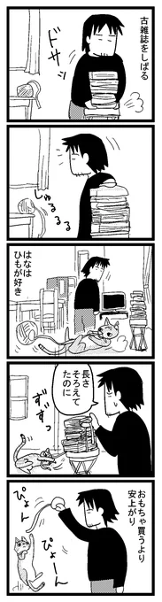 はなもこれやる 