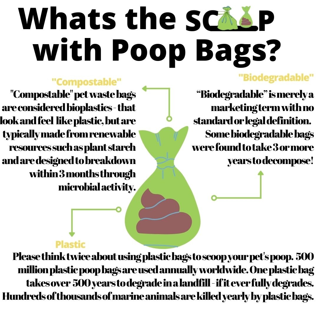 What's the scoop with #poopbags? 💩
Well, that depends on the type of bag you use! 🛍️
Be sure to check what bags you are using & how to #ProperlyDispose of them, whether it's in the #TrashBin or compost. Do your research & be a #ResponsiblePetOwner. scoop2.ca