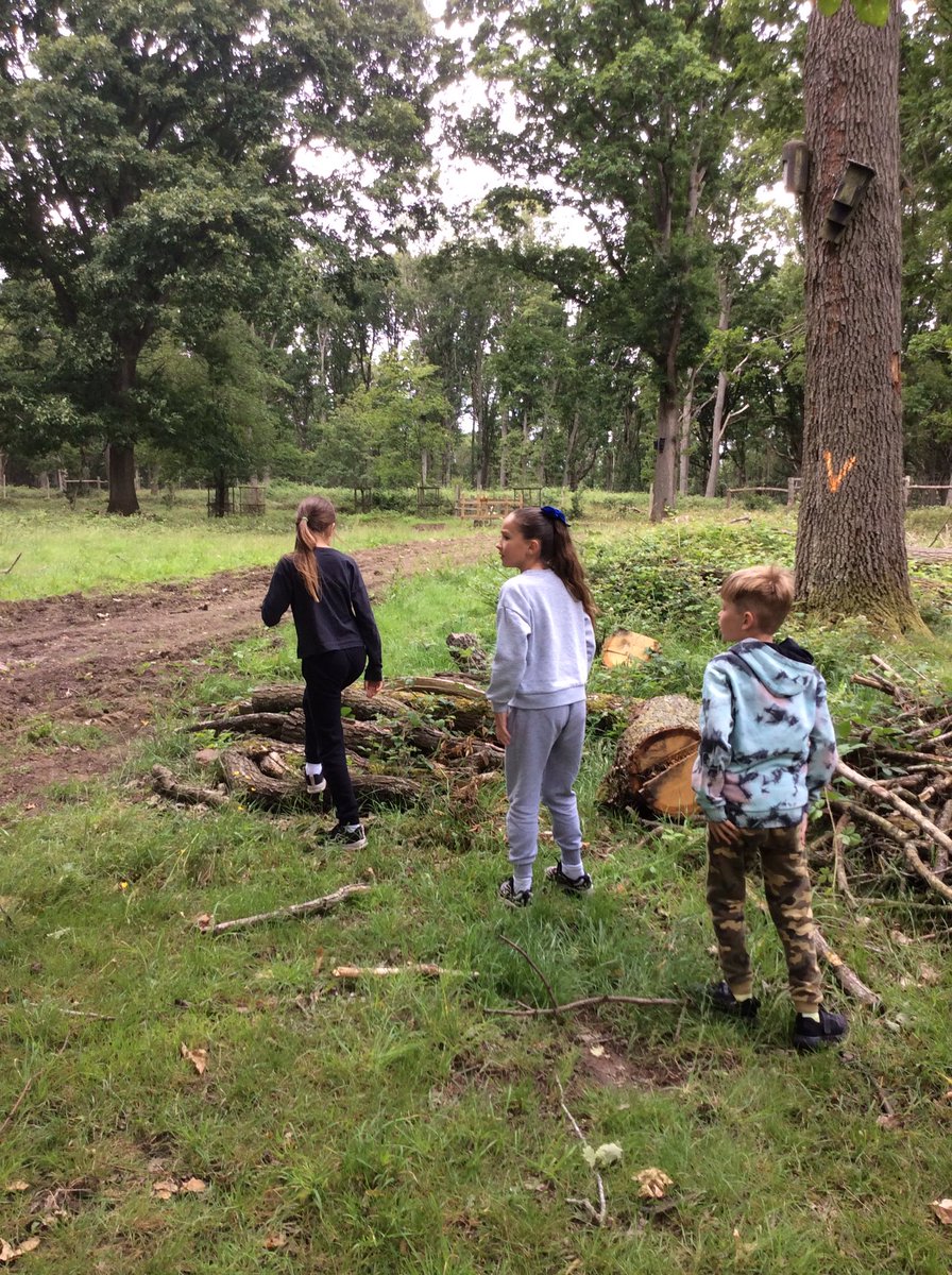 Oak Class tweet media