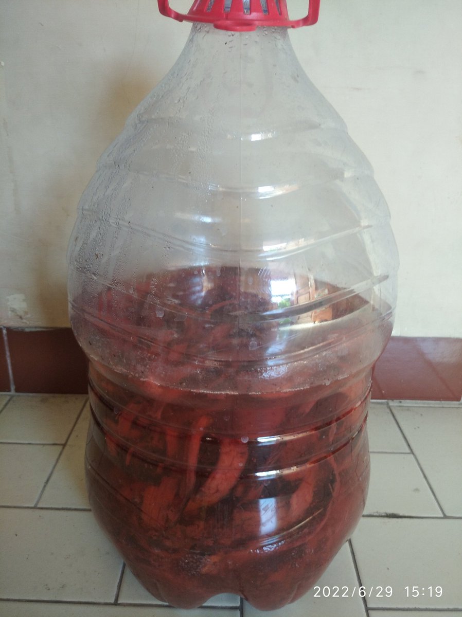 Excel_Dee's tweet photo. Jika ada cara yang lebih hemat, sama efektifnya dan membawa keuntungan bagi petani.. Dan kita bisa bikin pupuk atau pestisida, herbisida sendiri...Apakah masih mau membeli di toko pertanian...??? 

Tiru.. 
Bikin sendiri..
Sehatkan lahan &amp; Lingkungan
Ini amunisi buatan ku sendiri https://t.co/NyhpvSLQzK