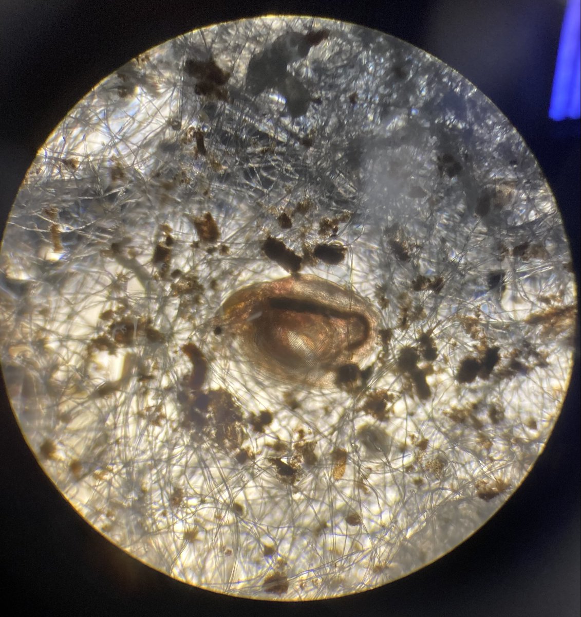 ScienceAshton tweet picture