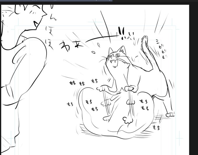 かわいいかったんよメモ 