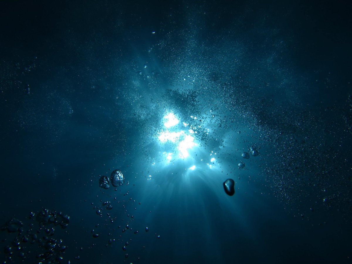 camp_diving's tweet photo. 水中から見上げる太陽の光とか、はいた息の泡が好き🐠3枚目は必死に練習した3連バブルリング🫧
#ダイビング好きの人と繋がりたい
#スキューバダイバー
#バブルリング
#プールでバブルリングやりたくなる https://t.co/HLaG5QyaLp