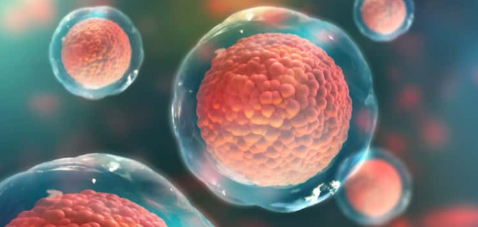 ENGins_Tissue's tweet photo. Aussie uni develops new 3D printing solution for stem cell manufacturing. Researchers at the University of Technology Sydney (UTS), Australia, have developed a 3D printed system for harvesting stem cells from bioreactors.... https://t.co/ZjGzEd294N #TissueEng #YoE #Bio #ENGins https://t.co/VI2AVLN0CI
