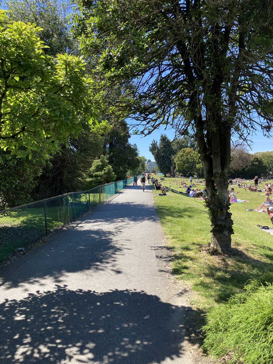 ParksBoardFacts on Twitter ".ParkBoard are all these trees coming