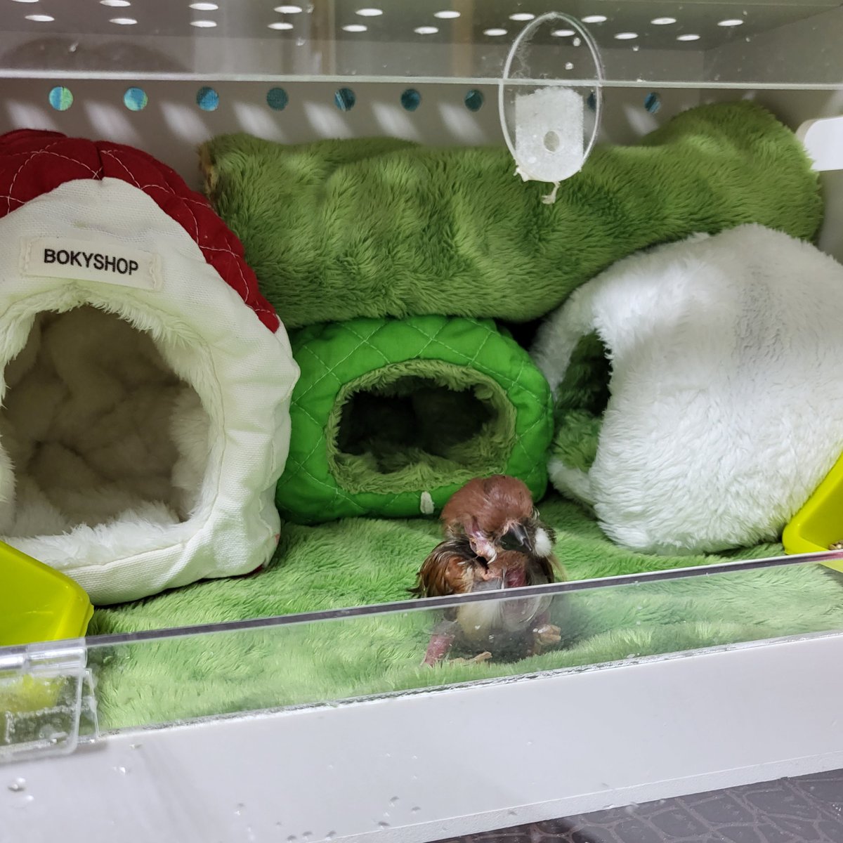 우리 트리가 안아프면 엄마는 괜찮아😂
엄마 다리 잘 끌어볼게