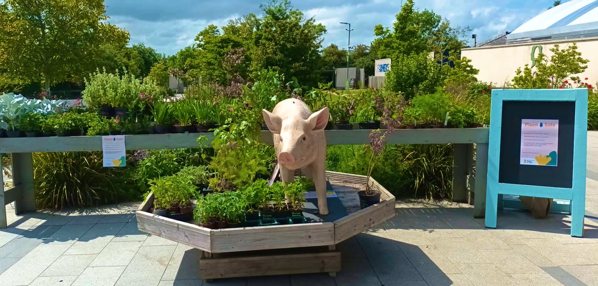 AirfieldEstate's tweet photo. We were able to raise €700 through Pledge to Plant in aid of The Irish Hospice Foundation!! @IrishHospice 

Thank you to all of those that participated and helped raise the money for a good cause and we hope you are enjoying a piece of Airfield at home🌿

#PledgeToPlant https://t.co/edwKsQ2PEJ