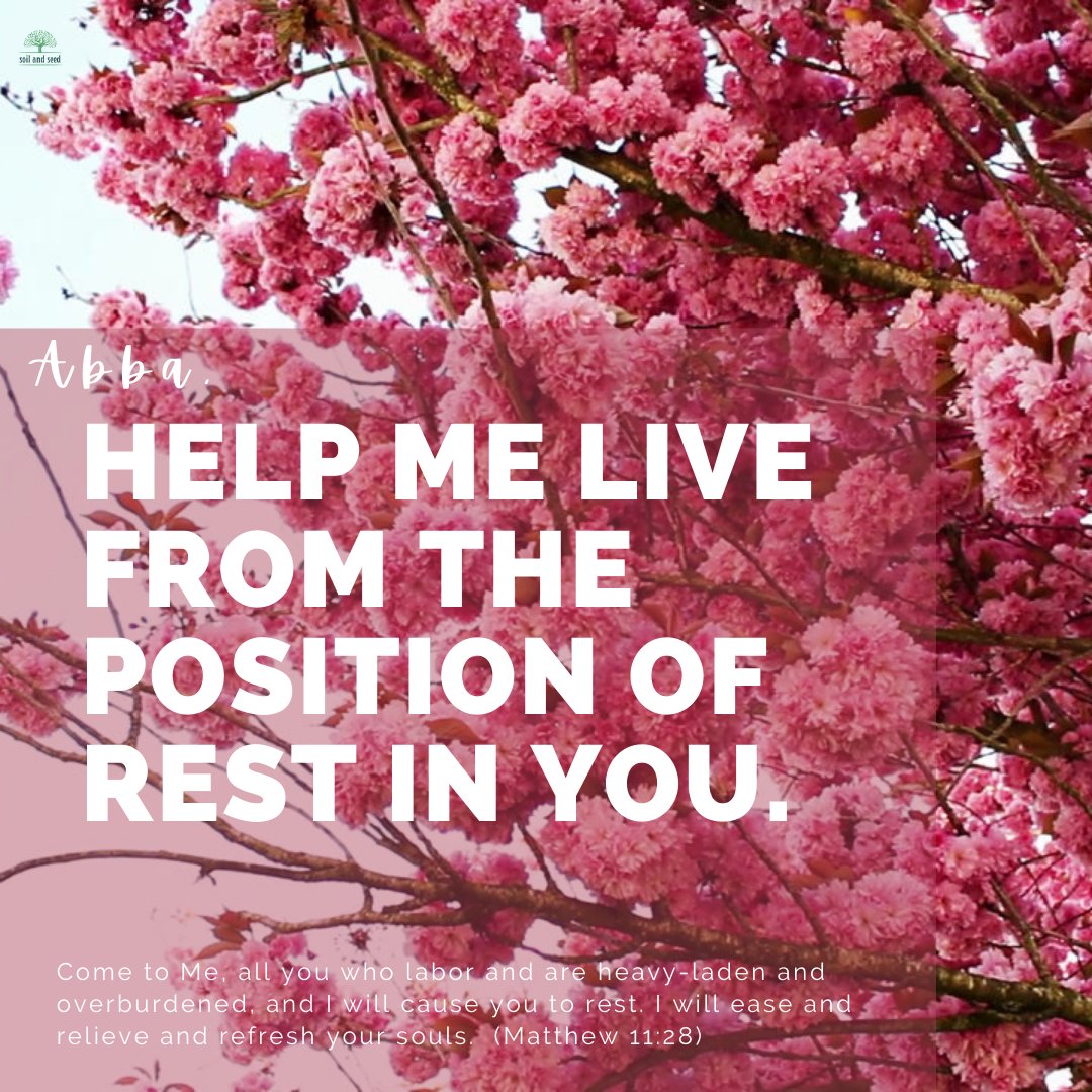 soilandseedblog's tweet image. #restinYou